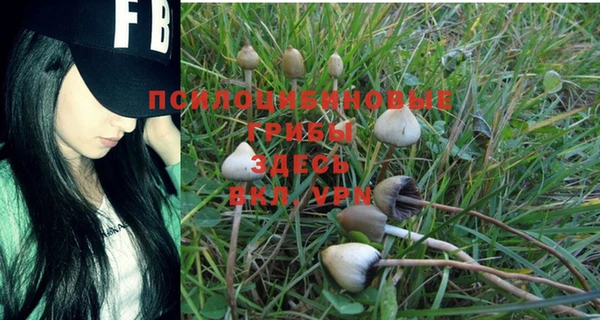 mdma Кодинск