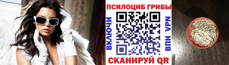 Псилоцибиновые грибы мицелий Купить закладки Козельск